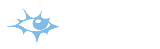 BLEYES FILMS
